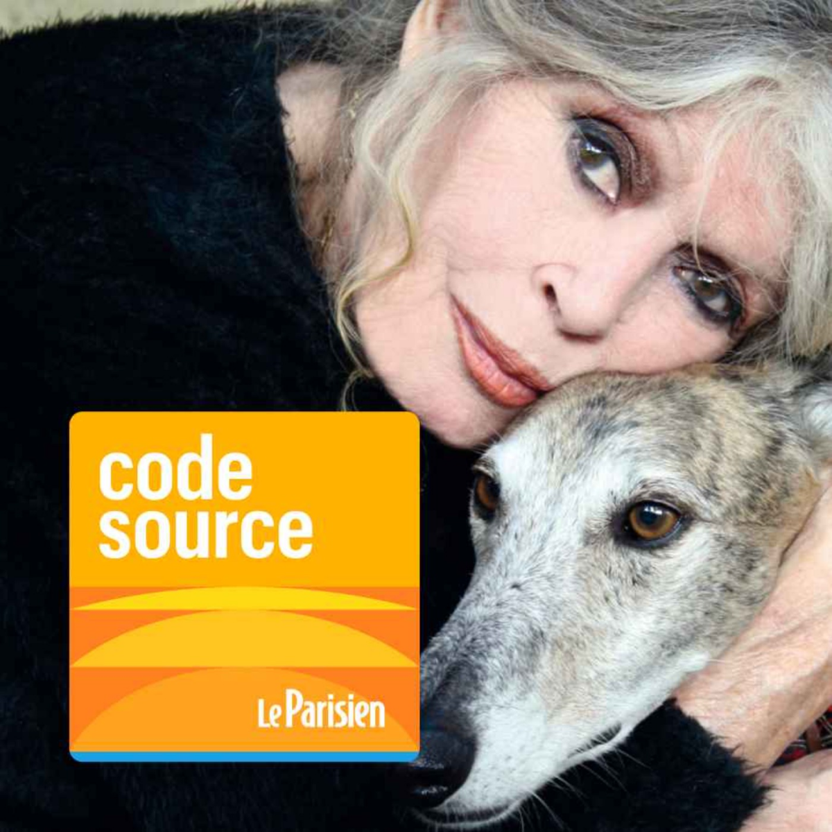 Brigitte Bardot : d’icône du cinéma à défenseuse des animaux