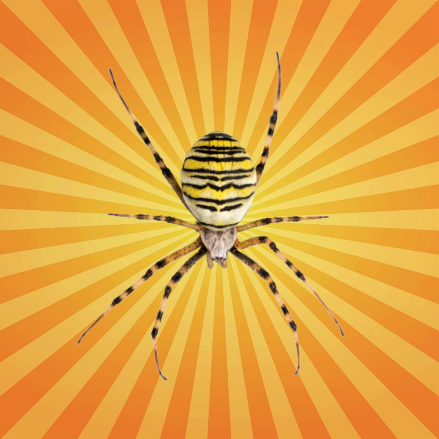 Futura Podcast - Rejoignez les décodeurs de savoir