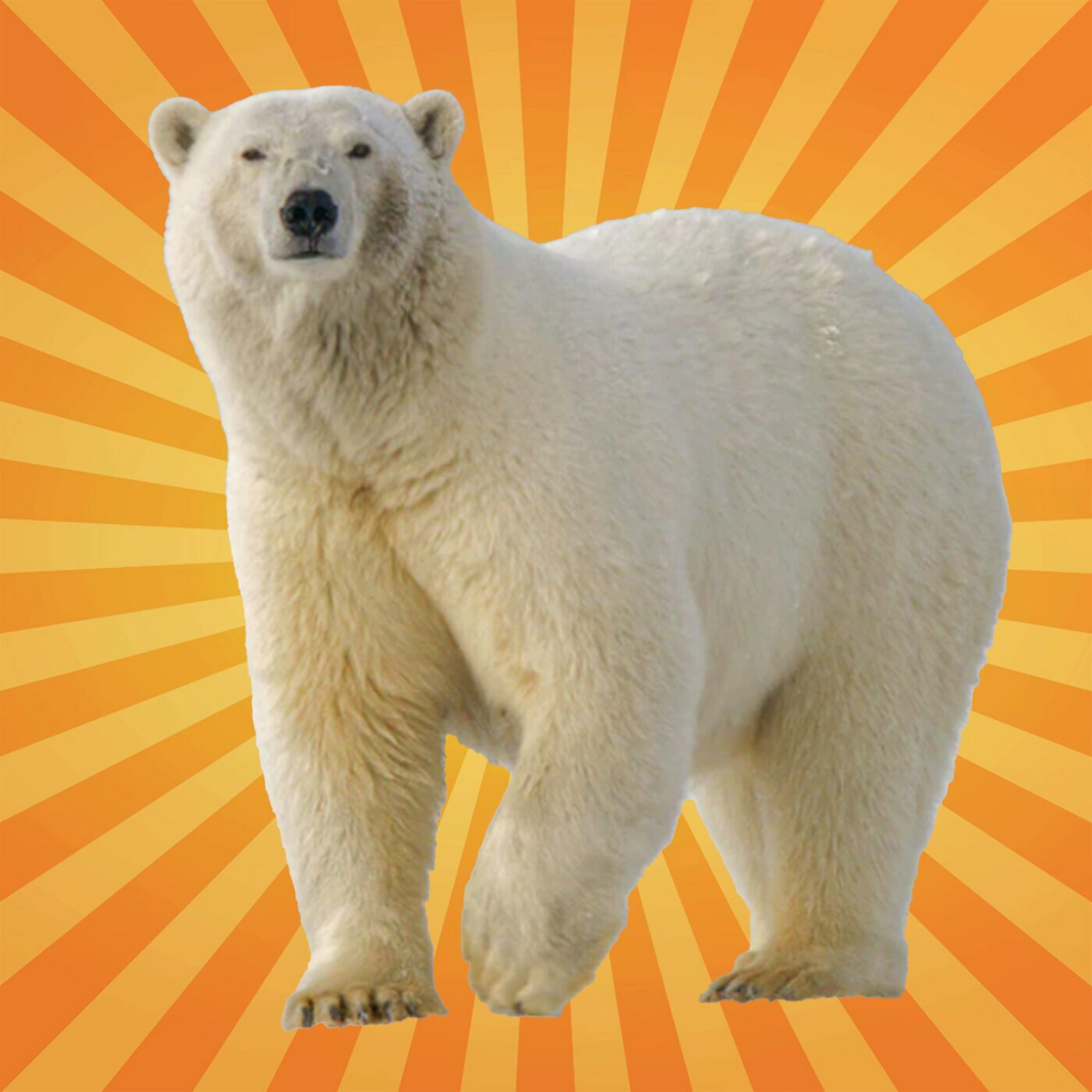 Futura Podcast - Rejoignez les décodeurs de savoir