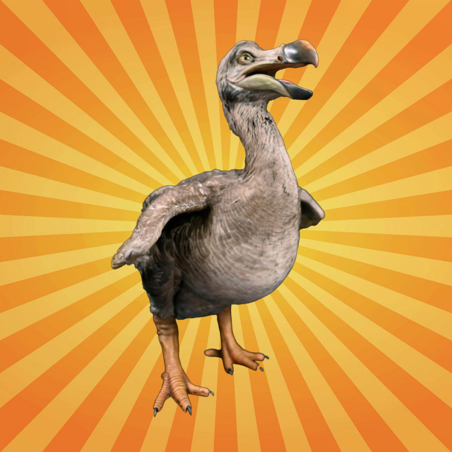 Le dodo, oiseau disparu mais jamais oublié