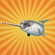 Bêtes de science - Le narval, la mystérieuse licorne de l'océan Arctique