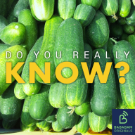 Do you really know? - What are the most hydrating foods?