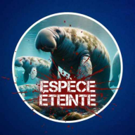 Culture G - Découverte en 1741, éteinte en 1768 : comment la rhytine de Steller a-t-elle été exterminée ? 🐋