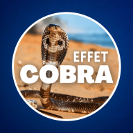 Culture G - Qu'est-ce que l'effet Cobra ? 🐍 (Il nous menace tous...)