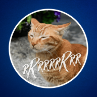 Culture G - Pourquoi les chats ronronnent-ils ? 🐈 (Non, ce n’est pas ce que vous croyez…)