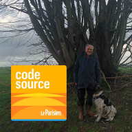 Code source - Révolution française, foudre… La folle histoire d’un tilleul racontée par un passionné