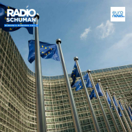 Radio Schuman - Ireland’s Europe minister on Ukraine, Trump and his country’s neutrality