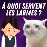 Science Infuse - Culture scientifique et curiosités étonnantes - Pourquoi l'humain pleure-t-il des larmes ? 😭