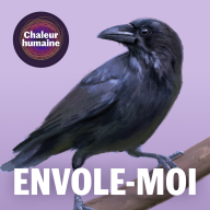 Chaleur Humaine - Envole-moi: la corneille noire (6/6)
