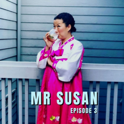 03. Mr Susan