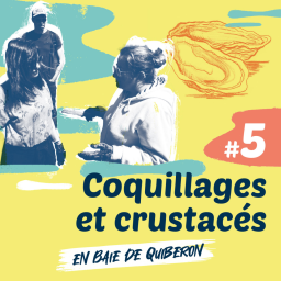 #5 Coquillages et crustacés