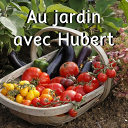 Les saveurs du potager : Potager nourricier, récolter et conserver ses légumes pour l'hiver