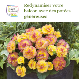Facil'Printemps : Redynamiser votre balcon avec des potées généreuses