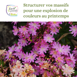 Facil'Printemps : Structurer vos massifs pour une explosion de couleurs au printemps