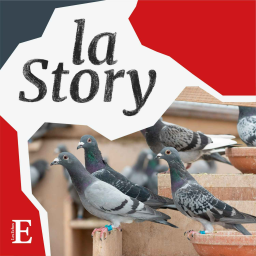 Y a-t-il des bons pigeons et des mauvais pigeons ?