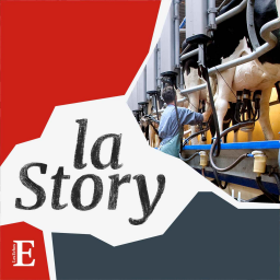Agriculture : la filière lait en crise ?