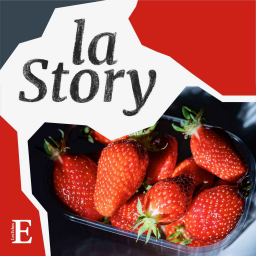 Comment la fraise française a retrouvé la pêche