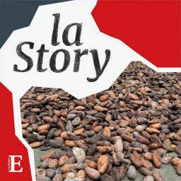 Le défi du trafic de cacao en Côte d'Ivoire