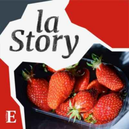 Comment la fraise française a retrouvé la pêche (rediffusion)