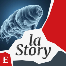 Blob et tardigrades, au service de la science