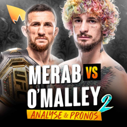Merab Dvalishvili vs Sean O'Malley : QUI GAGNE ?