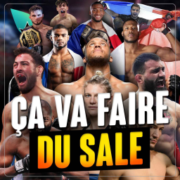 L'âge d'or du MMA Français