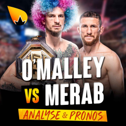 UFC NOCHE Sean O'Malley vs Merab Dvalishvili : ANALYSE & PRONOSTIC