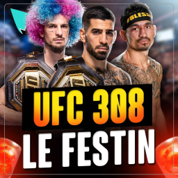 UFC 308 - double dose de BANGERS