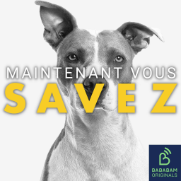 Les chiens voient-ils vraiment en noir et blanc ?