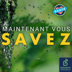 Comment se débarrasser des moucherons dans la cuisine ?