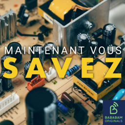 Qu'est-ce que la théorie du sac à dos écologique ?