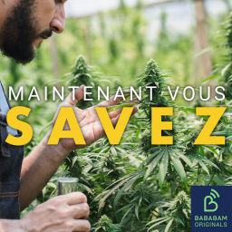 Pourquoi la transpiration sent parfois le cannabis ?