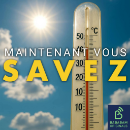 Comment la canicule pèse-t-elle sur notre santé mentale ?