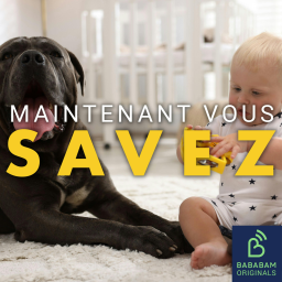 Pourquoi avons-nous tendance à traiter nos animaux comme nos enfants ?