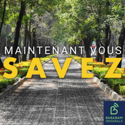 Les forêts urbaines permettent-elles vraiment de lutter contre le réchauffement climatique ?