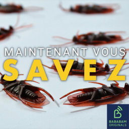 Qu’est-ce que la technique du cafard ?
