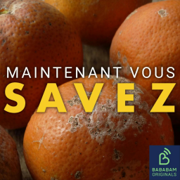 Est-ce vraiment dangereux de manger des aliments moisis ?