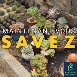 Les plantes communiquent-elles vraiment entre elles ?