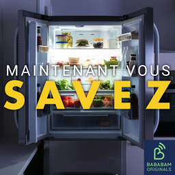 Qu’est-ce que le fridgescaping, cette tendance déco étonnante ?