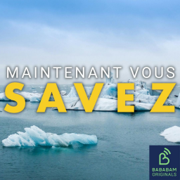 Pourquoi Donald Trump veut-il annexer le Groenland ?