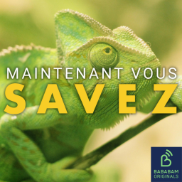 Qu’est-ce que l’effet caméléon ?