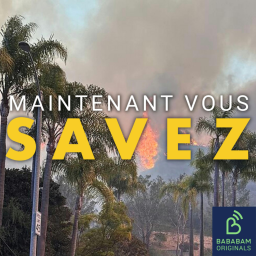 Y a t-il vraiment de plus en plus d’incendies ?