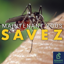 Pourquoi y a-t-il encore des moustiques en automne ?