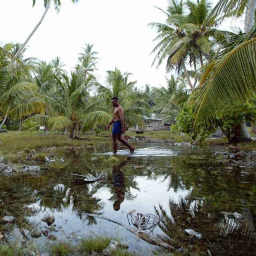 L’archipel des Tuvalu prévoit de se dédoubler dans le métavers