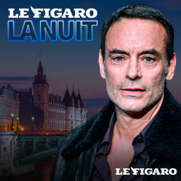 Un soir avec Anthony Delon : sa première grande interview depuis la mort de son père