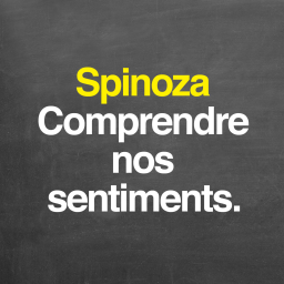 Spinoza : comprendre nos sentiments