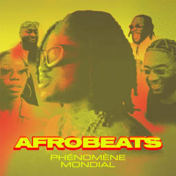 Afrobeats  : le courant musical qui a conquis le monde, raconté sur France TV