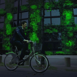Eclairer les rues avec des plantes bioluminescentes