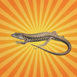 Le lézard des murailles est le roi de la régénération