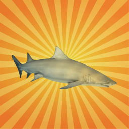 Le requin-citron : une proie avant d'être un prédateur
